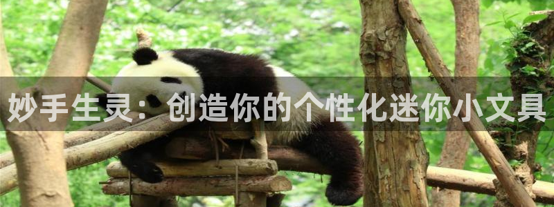 彩名堂在线下载：妙手生灵：创造你的个性化