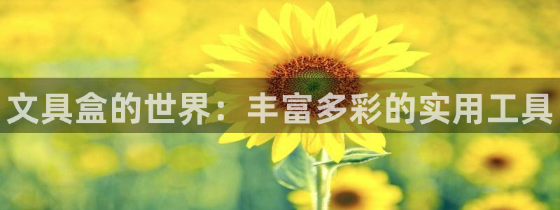 彩名堂官方下载地址：文具盒的世界：丰富多