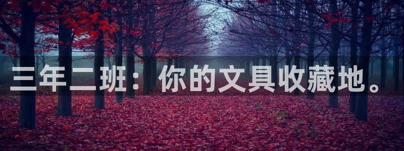 彩名堂最新计划app下载：三年二班：你的