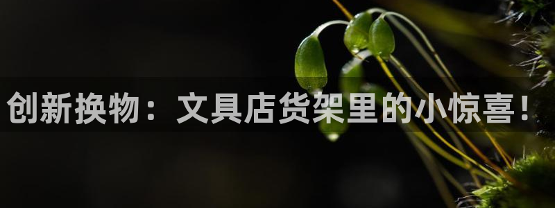 彩名堂计划和01计划怎么很稳：创新换物：