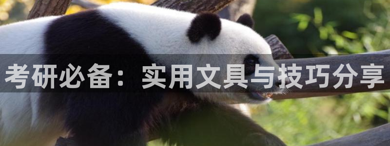 彩名堂是正规的公司吗：考研必备：实用文具