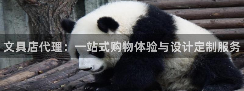 彩名堂免费计划软件下载：文具店代理：一站