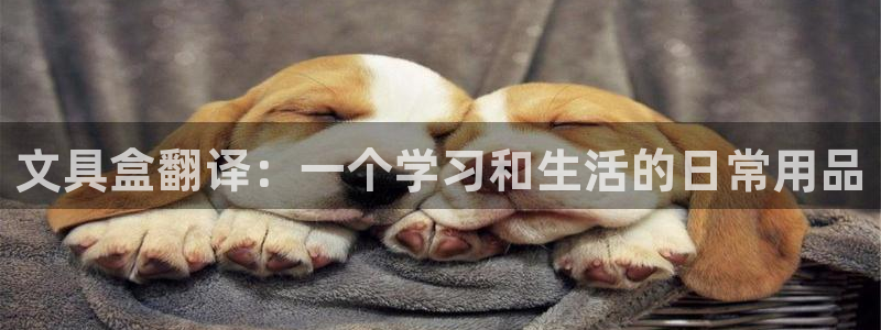 彩名堂客户端是永久免费吗是真的吗：文具盒