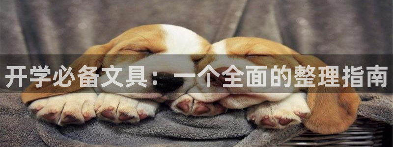 彩名堂拼音怎么拼：开学必备文具：一个全面