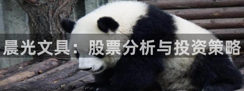 彩名堂跟哪种最好用：晨光文具：股票分析与