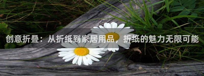 如何进入彩名堂官网更新：创意折叠：从折纸