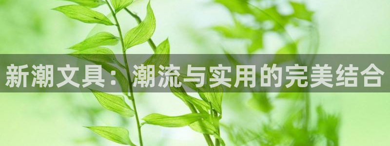 彩名堂计划怎么买胜率高：新潮文具：潮流与