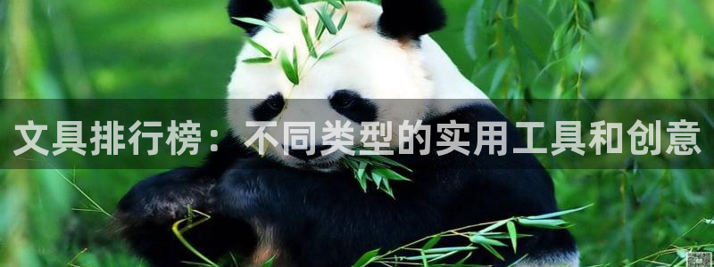 彩名堂客户端官网：文具排行榜：不同类型的
