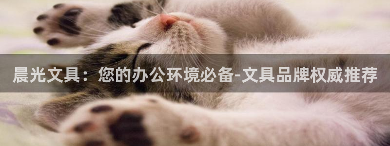 彩名堂免费计划5.0使用方法是什么：晨光