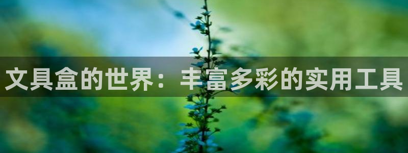 彩名堂计划最新版手机版：文具盒的世界：丰