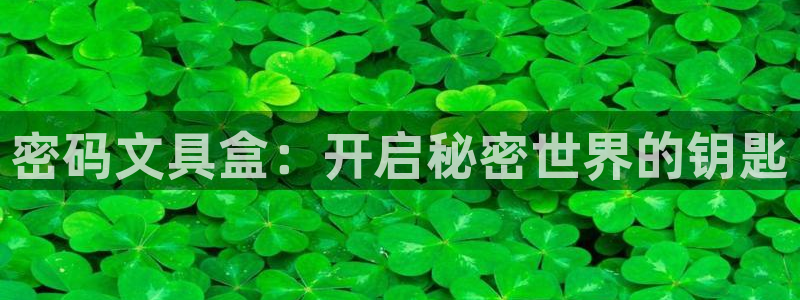 如何进入彩名堂官网更新：密码文具盒：开启