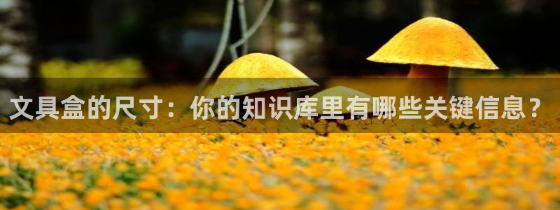 彩名堂免费计划使用方法是什么：文具盒的尺