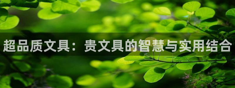 彩名堂是不是不能用了吗：超品质文具：贵文