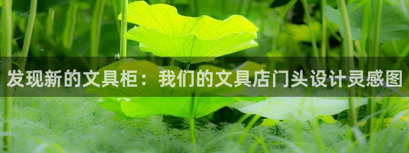 彩名堂官方软件下载：发现新的文具柜：我们