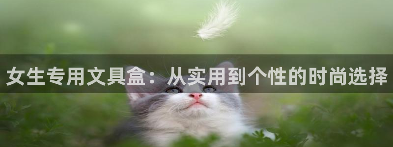 彩名堂图片：女生专用文具盒：从实用到个性