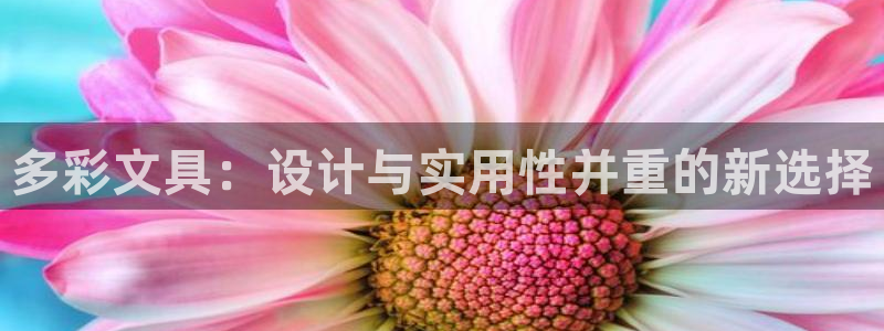 彩名堂.apk：多彩文具：设计与实用性并