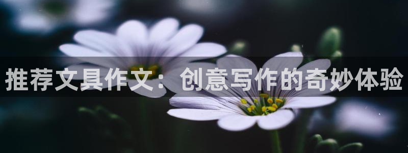 彩名堂计划最新版手机版：推荐文具作文：创
