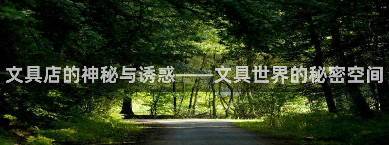 彩名堂人工预测免费计划：文具店的神秘与诱