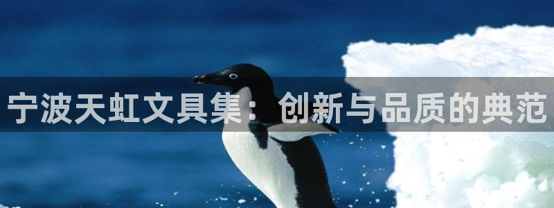 彩名堂预测网站：宁波天虹文具集：创新与品