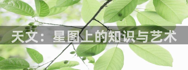 彩名堂预测软件与分析：天文：星图上的知识