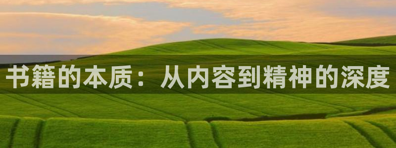 彩名堂是不是不能用了吗：书籍的本质：从内