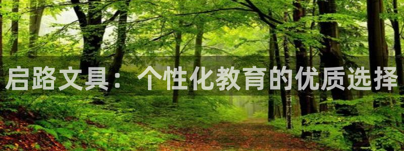 彩名堂计划怎么跟不挂：启路文具：个性化教