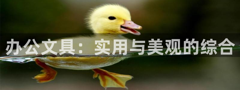 彩名堂计划怎么买胜率高：办公文具：实用与