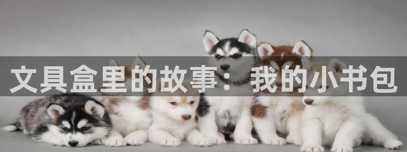 彩名堂旧版本：文具盒里的故事：我的小书包