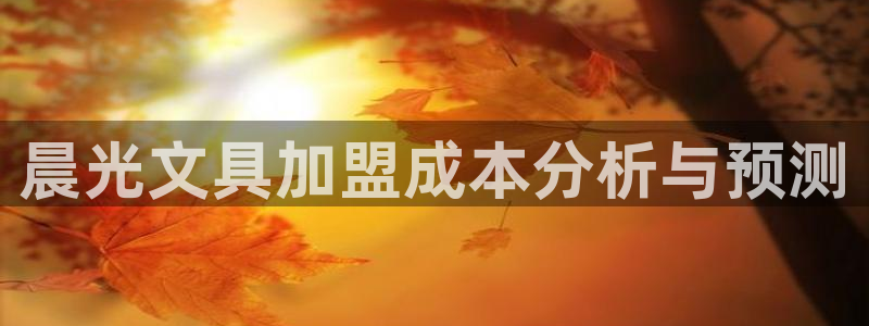 彩名堂用不了：晨光文具加盟成本分析与预测