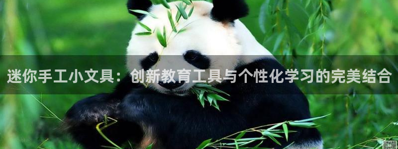 彩名堂app官网：迷你手工小文具：创新教