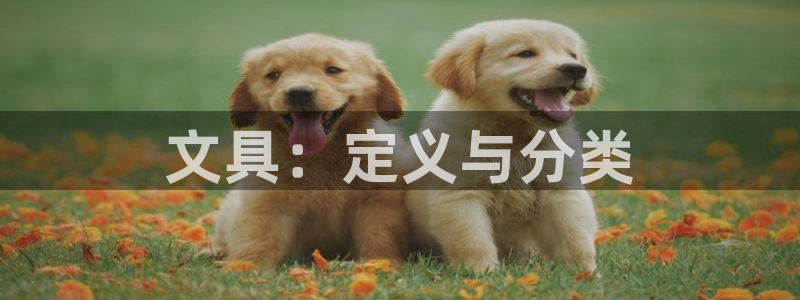 彩名堂app彩名堂客户端：文具：定义与分