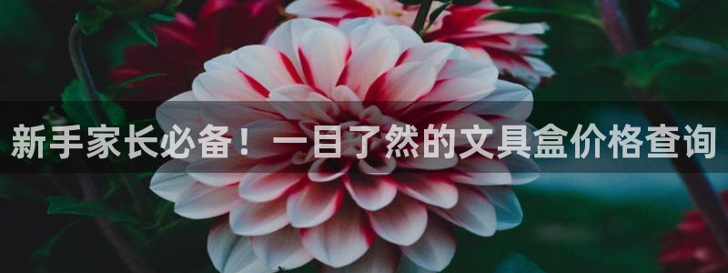 彩名堂预测软件与分析软件区别：新手家长必