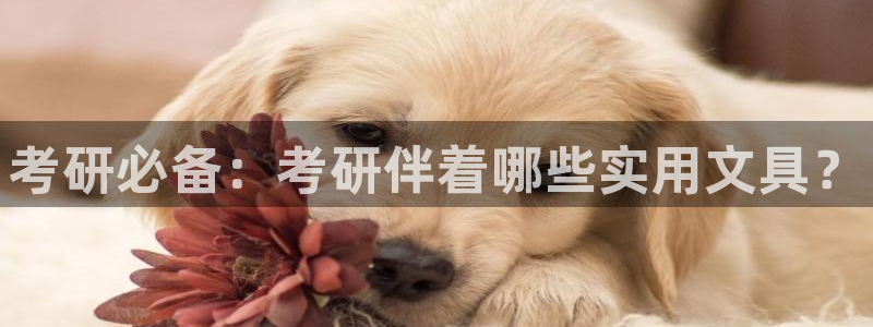 彩名堂首页：考研必备：考研伴着哪些实用文